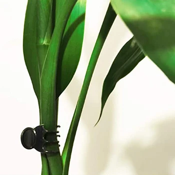 20pcs Plastiko Augalų Paramos Įrašus Skiepyti Įrašus Orchidėjų Stiebų Įrašą Vynuogių Paramos Daržovių, Gėlių Susieta Filialas, Apkabos, Sodo Įrankių